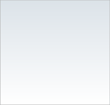 ESET Security Services